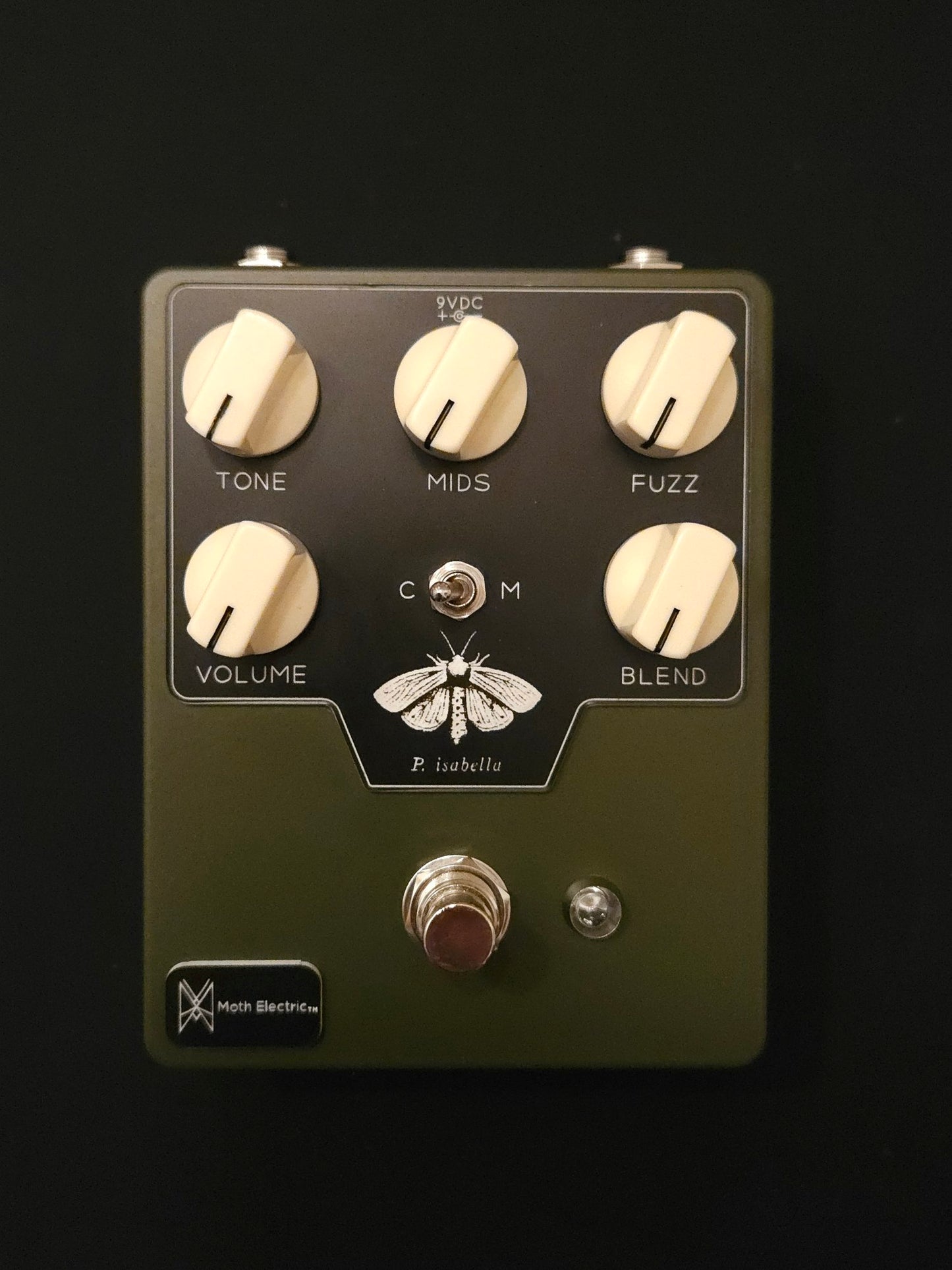 Moth Electric P. Isabella Fuzz/Distortion