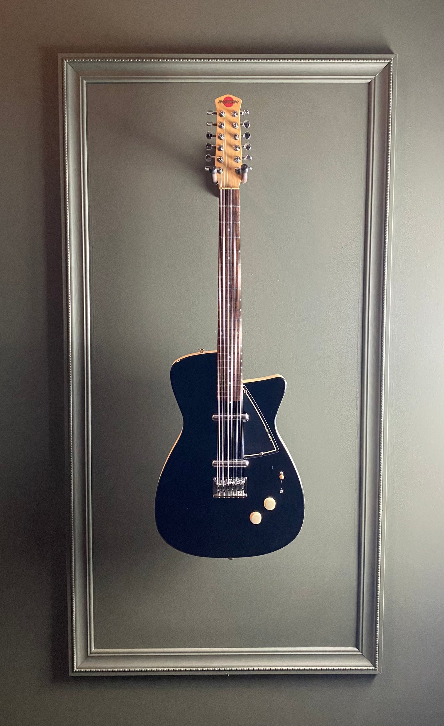 Jerry Jones Neptune U-2 12-String