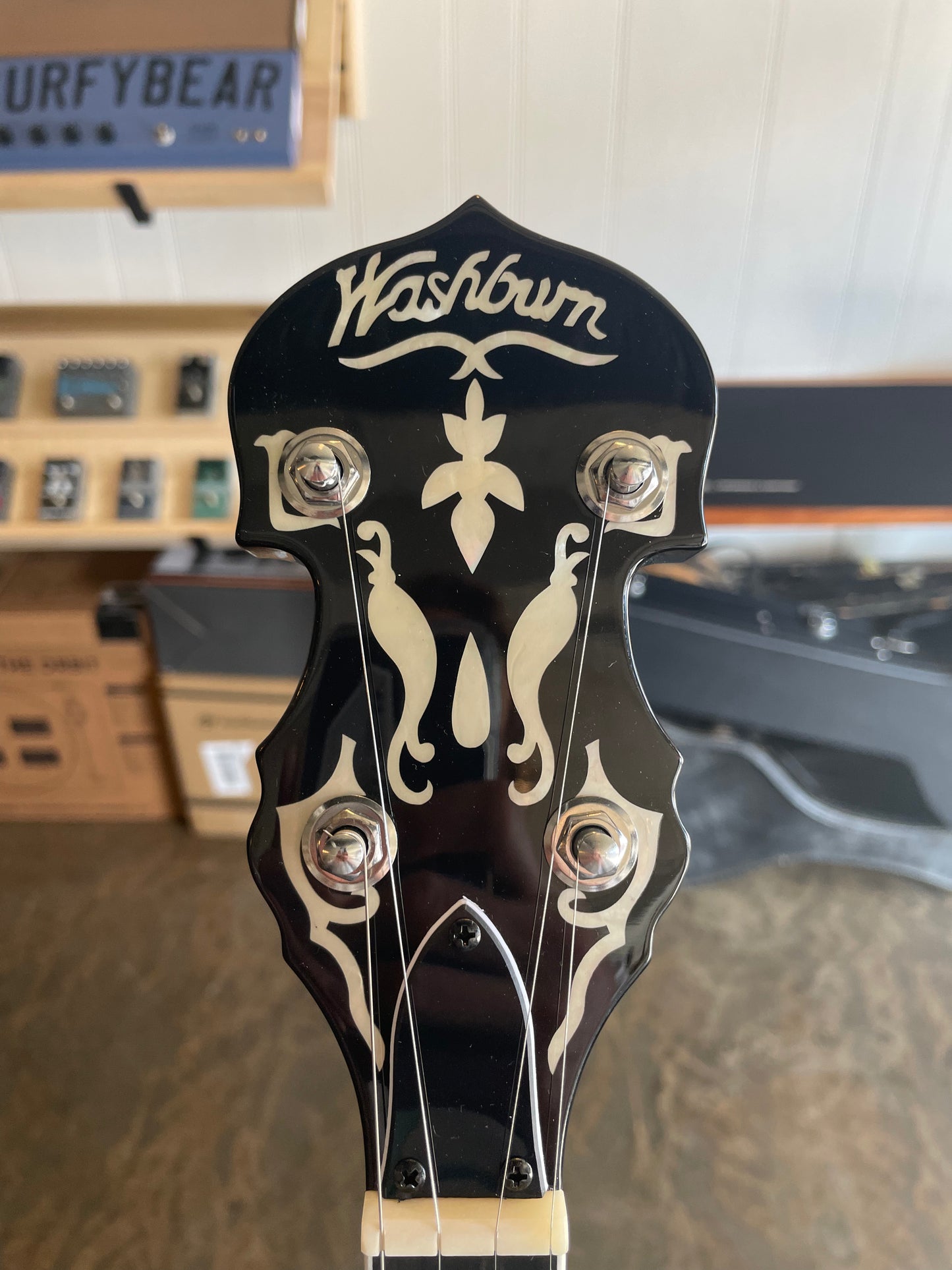 Washburn B16K