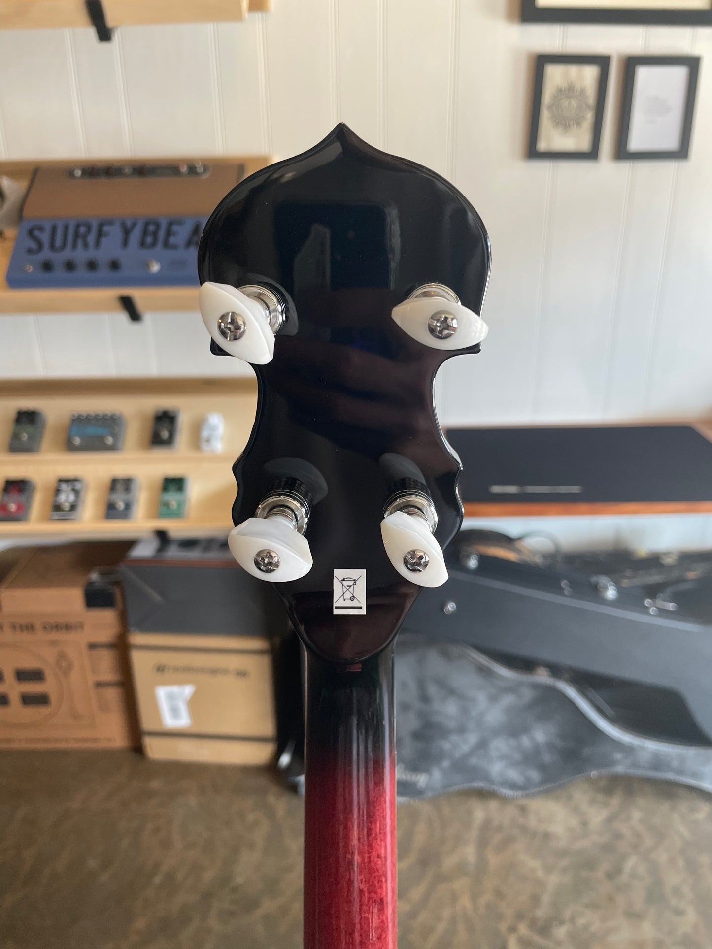 Washburn B16K