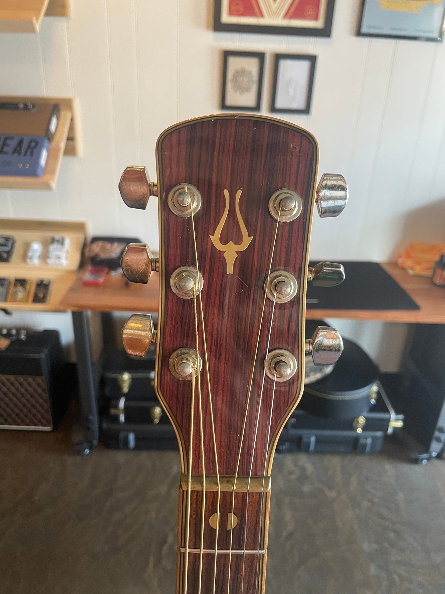 Daion “The 82” Jumbo Guitar