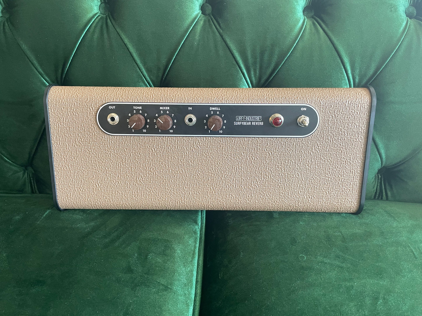 Surfybear Classic Brown With SurfyPan