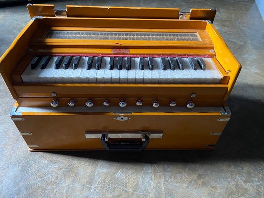 Bina Harmonium