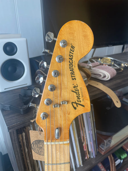 1979 Fender Stratocaster Hardtail